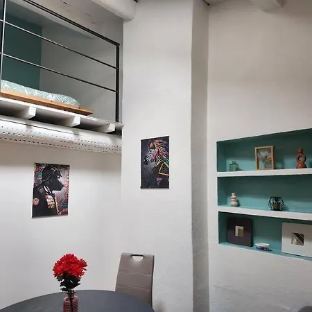 Duplex En Plein Coeur D'arles